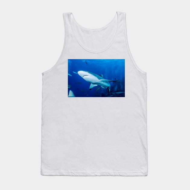 Reef Shark on the Great Barrier Reef Nov 13 Tank Top by seaearthandsky